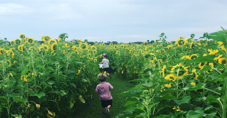 10 Last Chance Summer Adventures in NJ