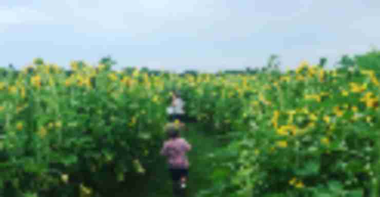 10 Last Chance Summer Adventures in NJ