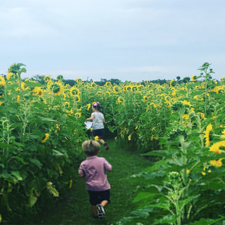 10 Last Chance Summer Adventures in NJ