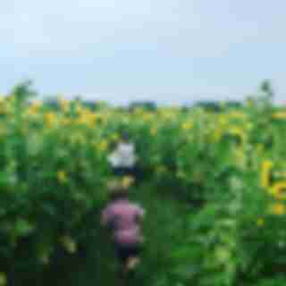 10 Last Chance Summer Adventures in NJ