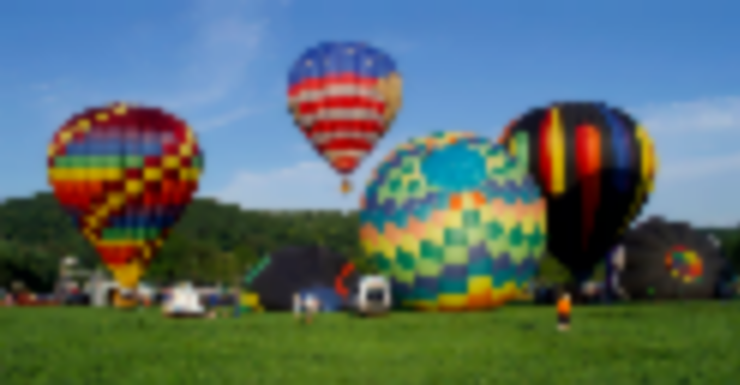 5 Things We’re Buzzing About in Bergen County NJ Week of August 20