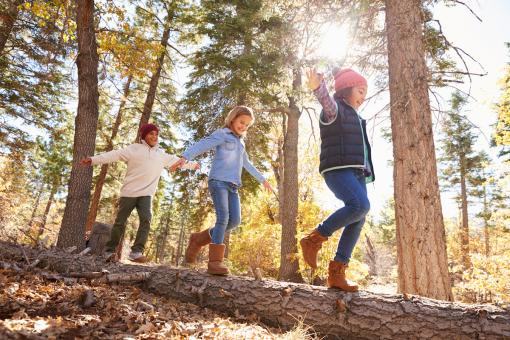 School’s Out, Teacher’s Convention Camps Are In