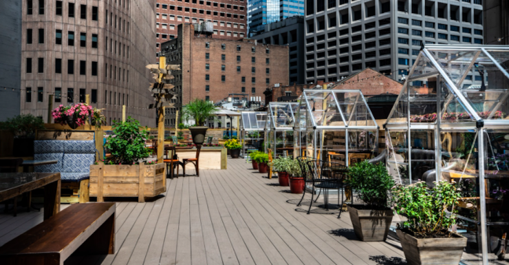 Dining in Your Own Private Greenhouse is Dinner Goals