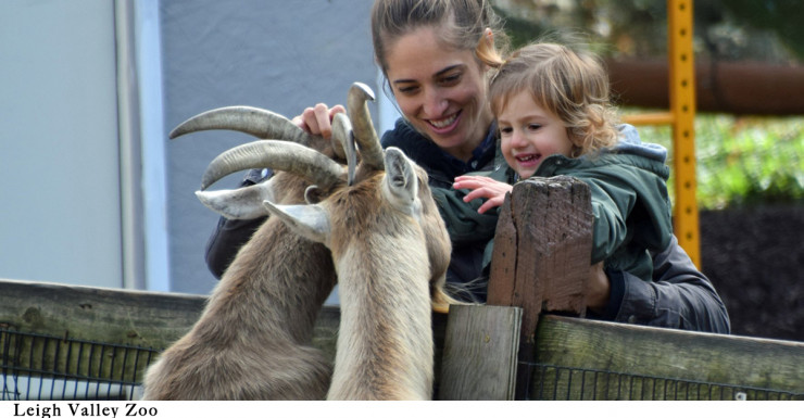 9 Animal Encounters Near Bergen County You’ll Be Wild About