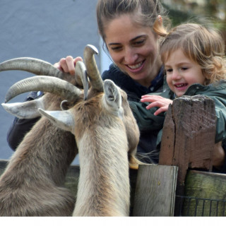 9 Animal Encounters Near Bergen County You’ll Be Wild About