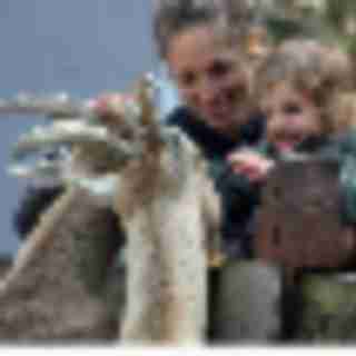 9 Animal Encounters Near Bergen County You’ll Be Wild About