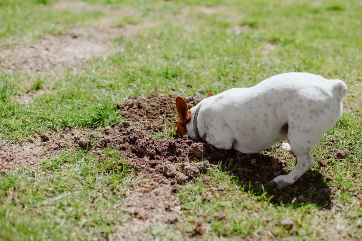 Why Your Kid Might Be Struggling (and No One Can Tell You Why)