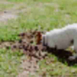 Why Your Kid Might Be Struggling (and No One Can Tell You Why)