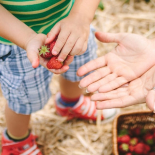 Berry Picking in NJ: The Top Spots