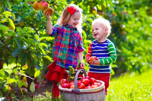 Best Spots for Apple Picking Around Bergen County, NJ and Beyond