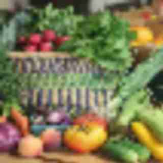 CSAs in North Jersey: No Green Thumb Required