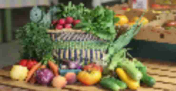 CSAs in North Jersey: No Green Thumb Required