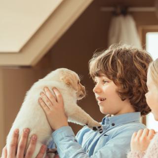 Puppy Love: 9 Tips for Training That Puppy Your Kids Just Talked You Into