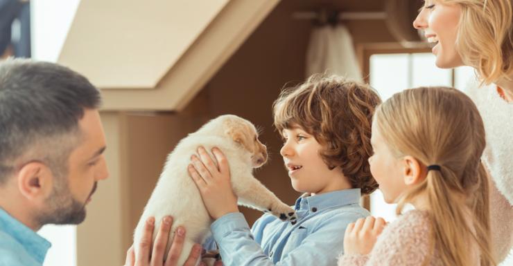 Puppy Love: 9 Tips for Training That Puppy Your Kids Just Talked You Into