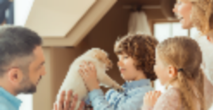 Puppy Love: 9 Tips for Training That Puppy Your Kids Just Talked You Into