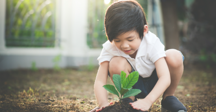 Easy and Planet-friendly Ways to Celebrate Earth Day