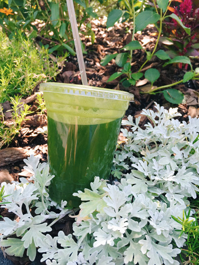 6 Best Places to Get Your Juice Fix On in Bergen County, NJ