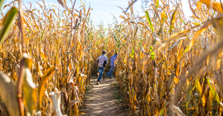 The Best Fall Festivals In and Around Bergen County