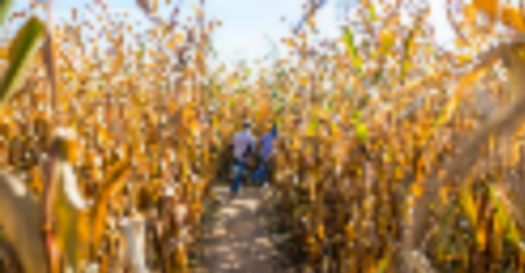 The Best Fall Festivals In and Around Bergen County