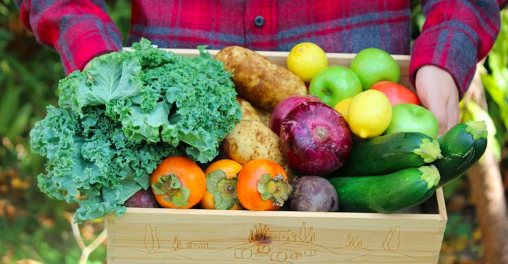 Eat Fresh and Healthy With a Farm CSA