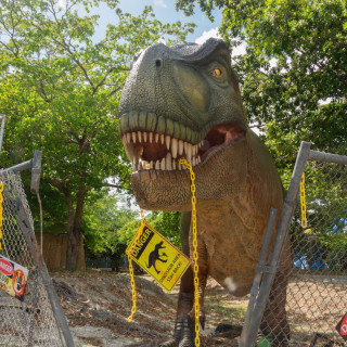 What to Do Around Bergen County Before Summer Ends