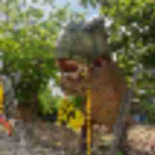 What to Do Around Bergen County Before Summer Ends