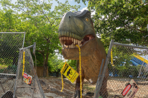 What to Do Around Bergen County Before Summer Ends