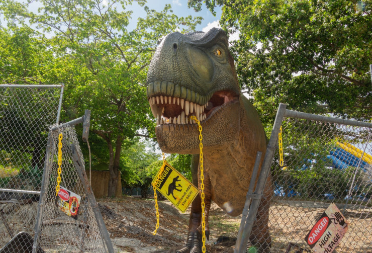 What to Do Around Bergen County Before Summer Ends