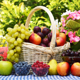 Things to Do in Bergen County Week of August 13