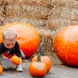 23 Halloween and Fall Events in NJ