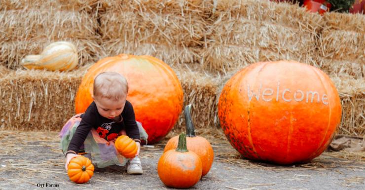 23 Halloween and Fall Events in NJ