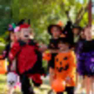 Things to Do in Bergen County Week of October 22