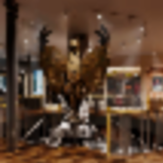 Harry Potter Store Opening in NYC on June 3