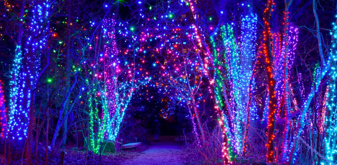 The Best Holiday Light Displays in and Around NJ