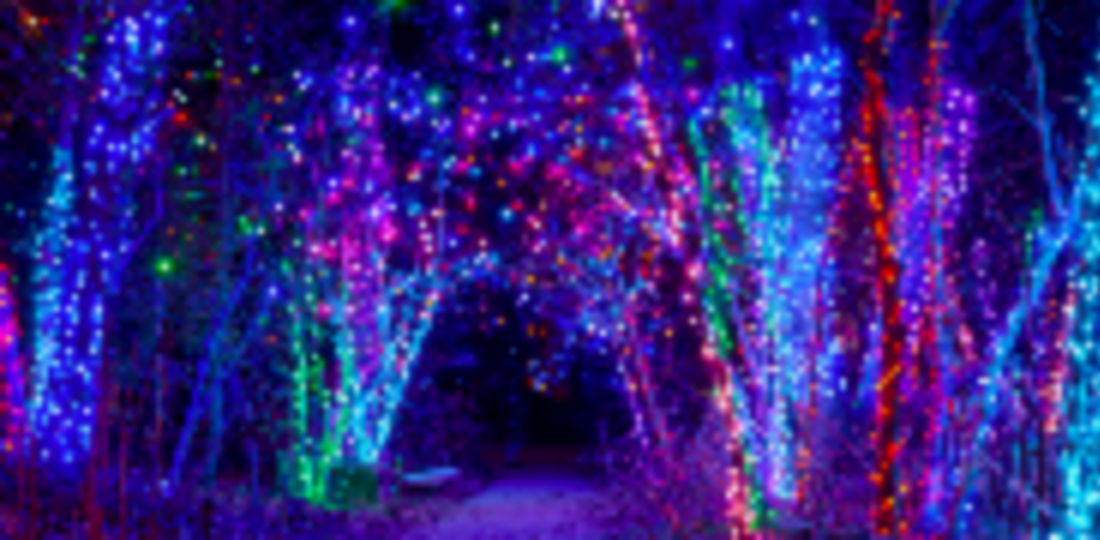 The Best Holiday Light Displays in and Around NJ