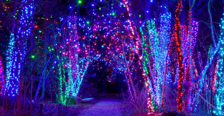 The Best Holiday Light Displays in and Around NJ