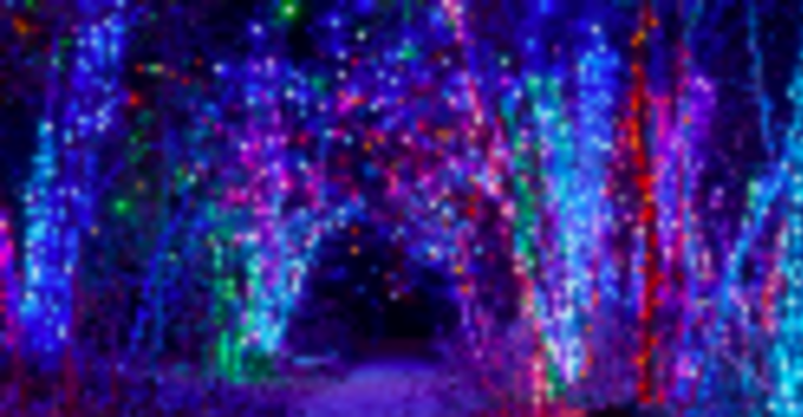 The Best Holiday Light Displays in and Around NJ