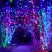 The Best Holiday Light Displays in and Around NJ