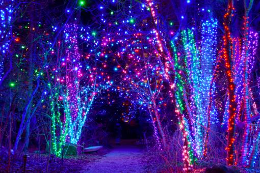 The Best Holiday Light Displays in and Around NJ