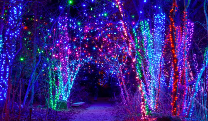 The Best Holiday Light Displays in and Around NJ