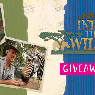 Giveaway: Win a Family 4-Pack of Tickets to Jack Hanna’s Into the Wild Live!