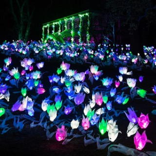 Giveaway: Win Tickets to Lightscapes at Van Cortlandt Manor