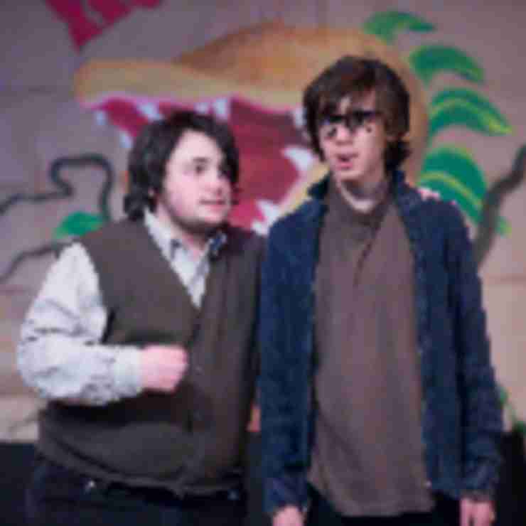 Kaplen JCC on the Palisades Dance, Music and Theater Camps (Dedicated)