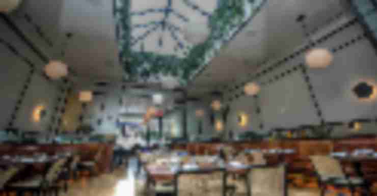 Why Sofia Restaurant is the Perfect Choice for Your New Year’s Eve Dinner (dedicated)