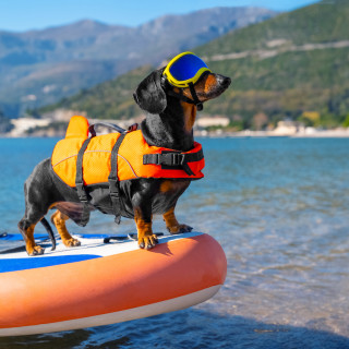 Things to Do in Bergen County Week of September 17