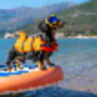 Things to Do in Bergen County Week of September 17