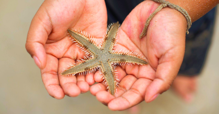 Vacation Anytime at These Remote Learning-Friendly Resorts