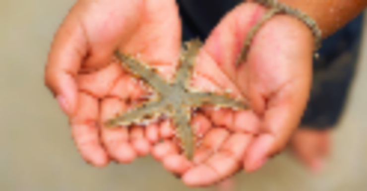 Vacation Anytime at These Remote Learning-Friendly Resorts