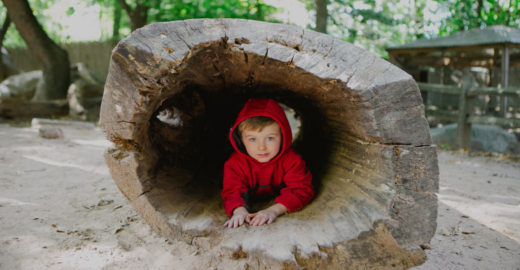 Summer Camp at Lindgren in Bergen County: Where Kids Can Be Kids (dedicated)