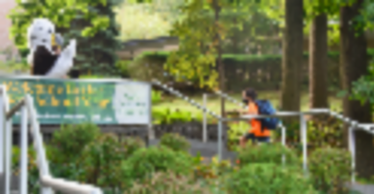 This Spring, Learn How Your Child Can Blossom at The Elisabeth Morrow School [dedicated]